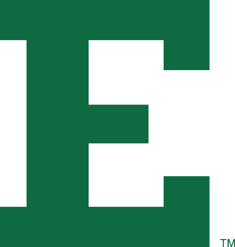 Eastern Michigan Eagles logos iron-ons